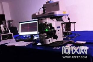 x荧光光谱仪等科学仪器助力文物修复