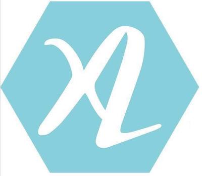 XL精准 科学仪器的演进与信息科学的融合